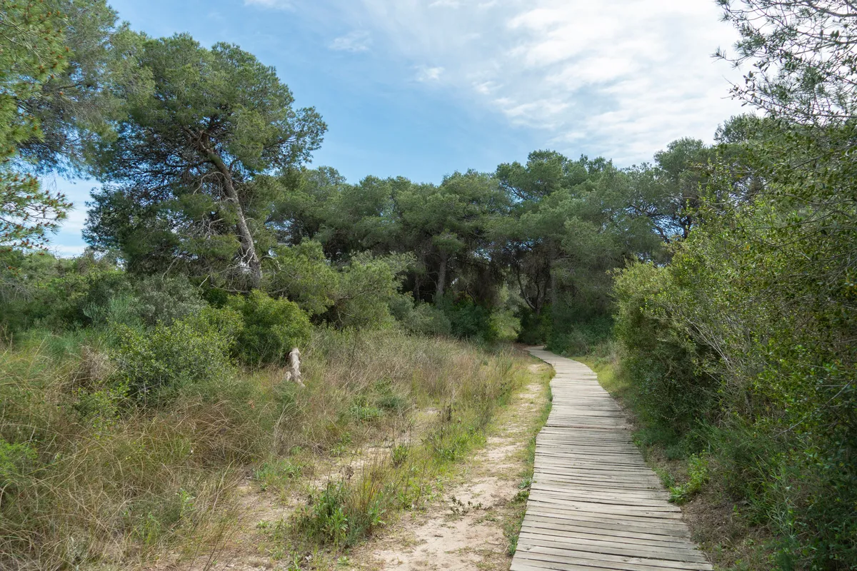 Best Places for a Stroll